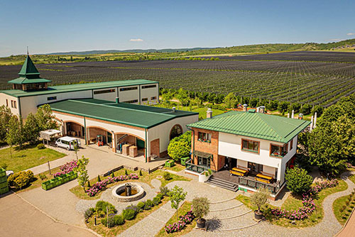 Srem wine routes from Ruma